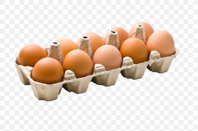 Chicken Egg Carton Box Cardboard, PNG, 1024x683px, Chicken, Box, Cardboard, Egg, Egg Carton Download Free