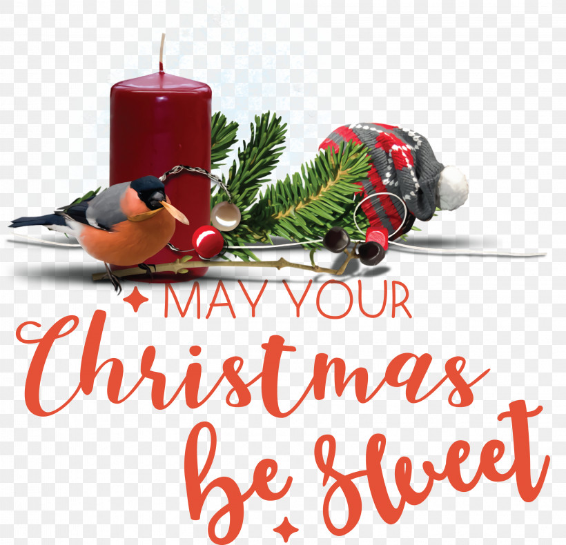 Christmas Day, PNG, 3214x3099px, Bauble, Christmas Day, Meter, Ornament, Tree Download Free