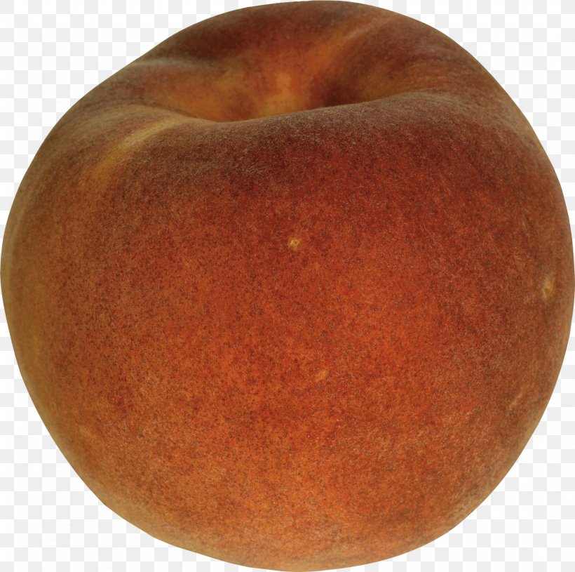 Fruit Nectarine Peach, PNG, 1562x1553px, Fruit, Apricot, Cerasus, Cherry, Digital Image Download Free