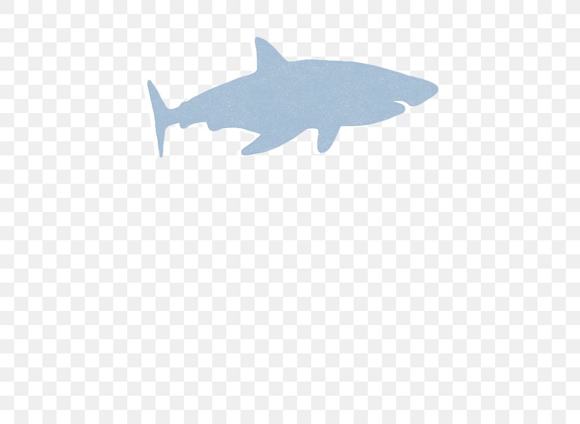 Requiem Shark Chondrichthyes Marine Mammal Marine Biology Fish, PNG, 600x600px, Requiem Shark, Animal, Biology, Carcharhiniformes, Cartilage Download Free