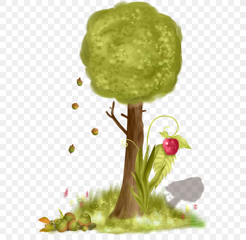 Tree Clip Art, PNG, 569x800px, Tree, Computer, Flower, Food, Fruit Download Free