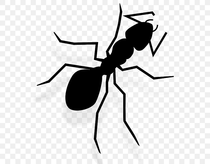 Ant Insect Clip Art Illustration Image, PNG, 564x640px, Ant, Arthropod, Carpenter Ant, Diagram, Drawing Download Free