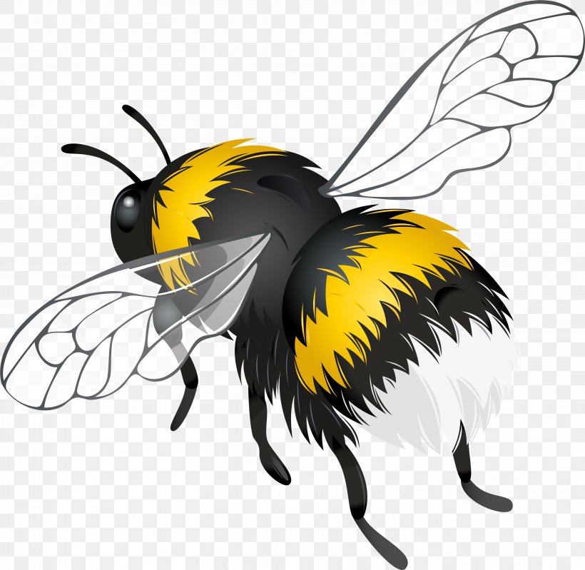 Bee Background, PNG, 5889x5741px, Bee, Blowflies, Bumblebee, Carpenter Bee, Flight Download Free