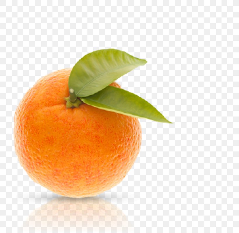 Clementine Mandarin Orange Tangerine Tangelo Rangpur, PNG, 800x800px, Clementine, Apple, Bitter Orange, Citric Acid, Citrus Download Free