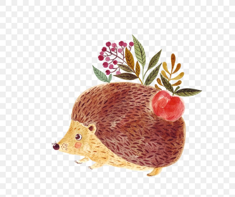 Hedgehog Royalty-free Euclidean Vector Illustration, PNG, 689x688px, Hedgehog, Cartoon, Drawing, Erinaceidae, Fruit Download Free