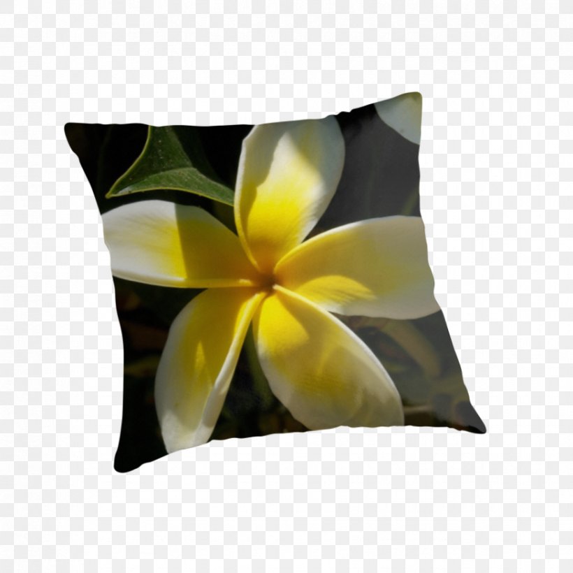 Throw Pillows Cushion Flower Petal, PNG, 875x875px, Throw Pillows, Cushion, Flower, Petal, Pillow Download Free