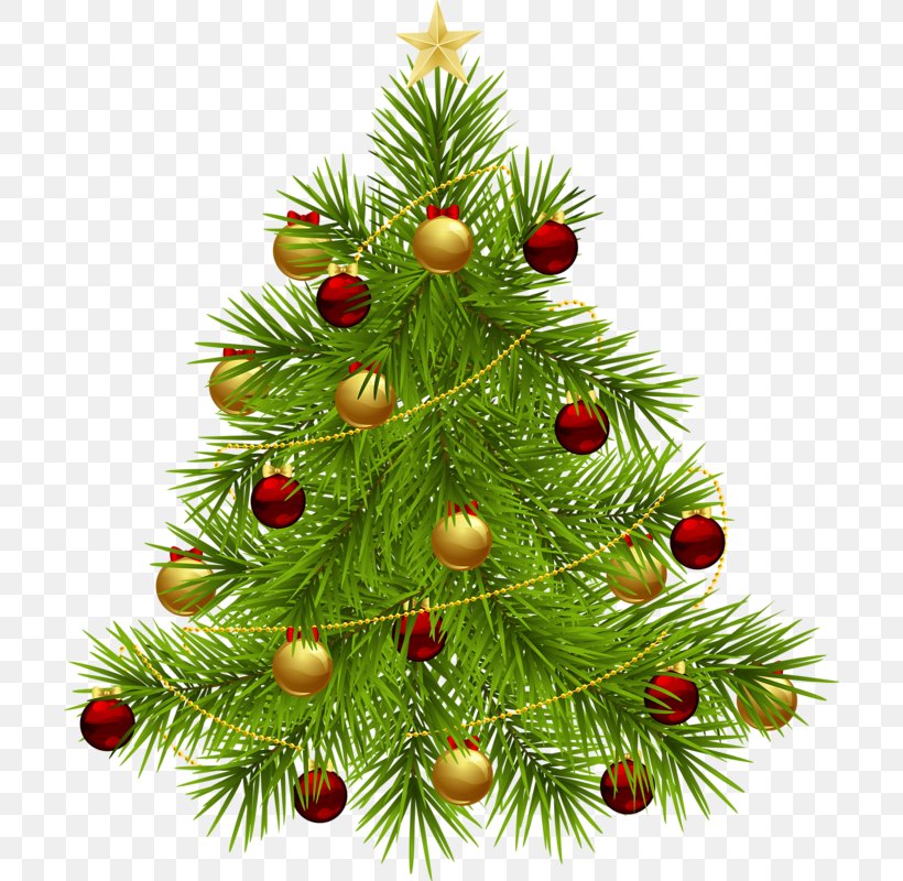 Christmas Tree Christmas Ornament Clip Art, PNG, 704x800px, Christmas Tree, Artificial Christmas Tree, Christmas, Christmas Decoration, Christmas Ornament Download Free