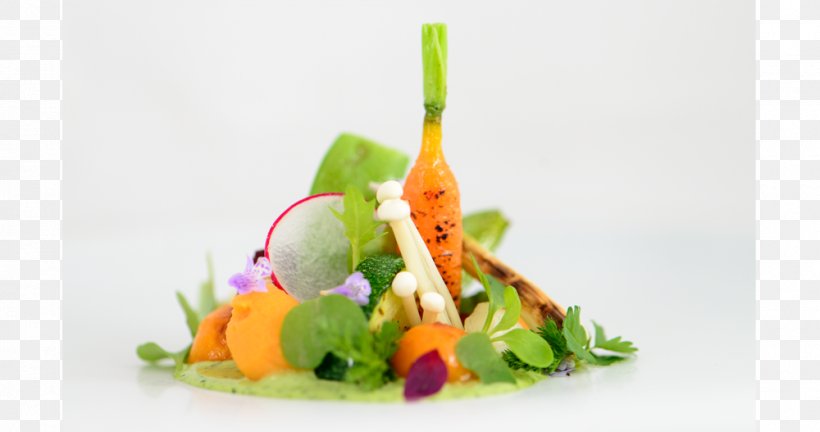 Cinc Sentits Restaurante Salad Vegetarian Cuisine, PNG, 1000x527px, Cinc Sentits, Barcelona, Cuisine, Diet Food, Dish Download Free