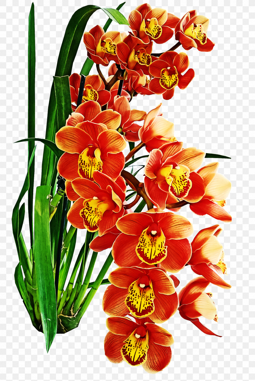 Floral Design, PNG, 1714x2560px, Floral Design, Aqua, Cut Flowers, Dendrobium, Floristry Download Free