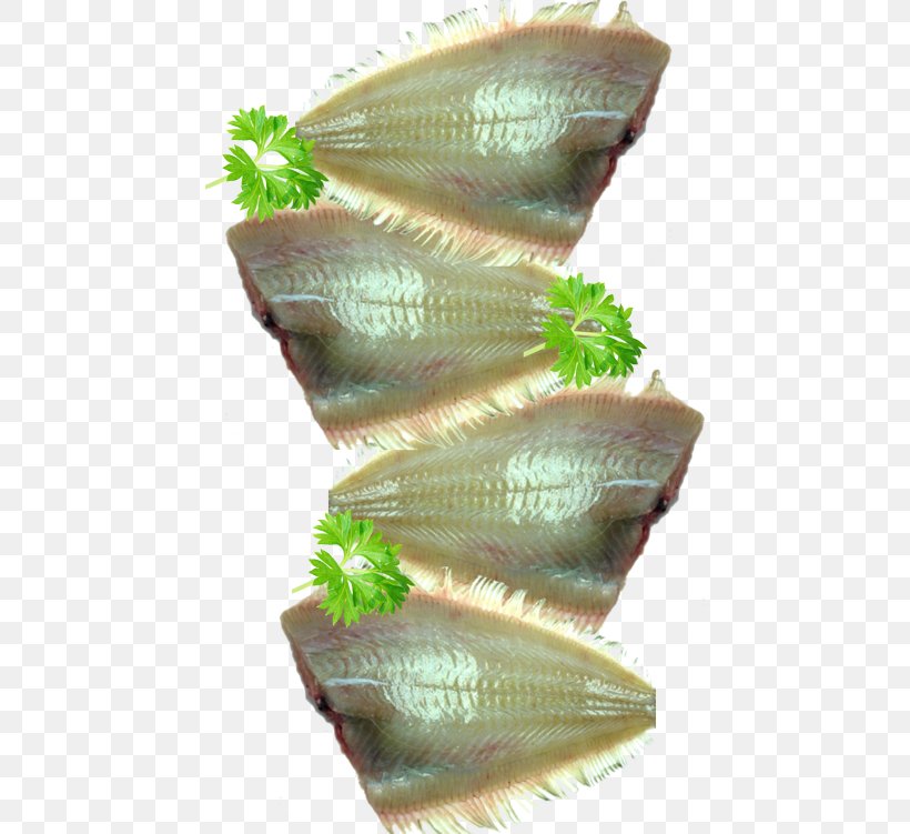 Sashimi Mackerel Seafood Fish Products, PNG, 450x751px, Sashimi, Barbecue, Bread Crumbs, Cooking, Escolar Download Free