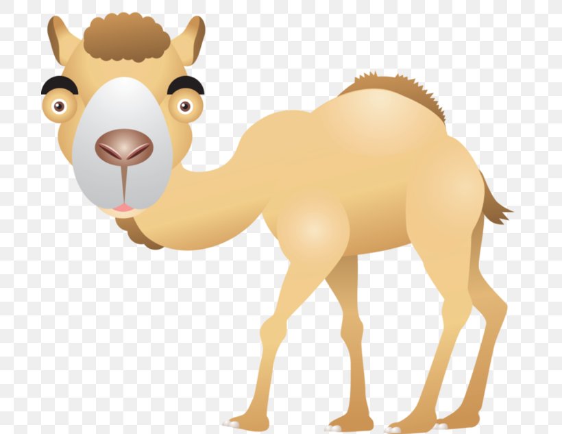 Dromedary Clip Art, PNG, 700x633px, Dromedary, Animal Figure, Arabian Camel, Camel, Camel Like Mammal Download Free