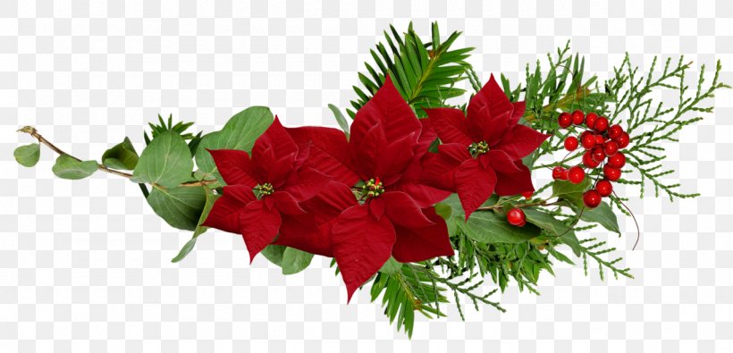 Floral Design Christmas Ornament Cut Flowers, PNG, 1280x617px, Floral Design, Christmas, Christmas Decoration, Christmas Ornament, Cut Flowers Download Free