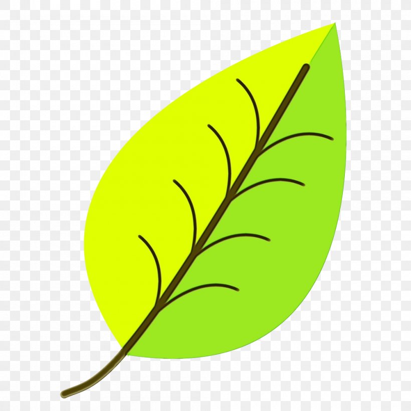 Leaf Yellow Clip Art Plant Tree, PNG, 1000x1000px, Watercolor, Leaf, Logo, Paint, Plant Download Free