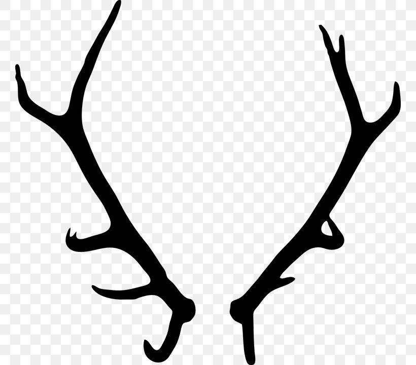 Deer Antler Clip Art, PNG, 760x720px, Deer, Antler, Art, Black And White, Branch Download Free