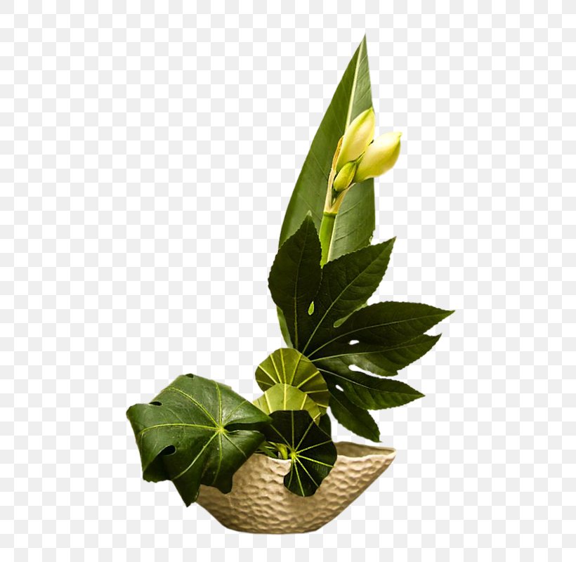Floral Design Birthday Flowerpot Daytime, PNG, 586x800px, Floral Design, Birthday, Cut Flowers, Daytime, Floristry Download Free