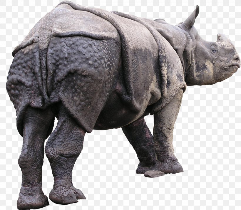 Rhinoceros Animal Texture Mapping 3D Computer Graphics, PNG, 1722x1502px, 3d Computer Graphics, Rhinoceros, Animal, Animal Figure, Artist Download Free