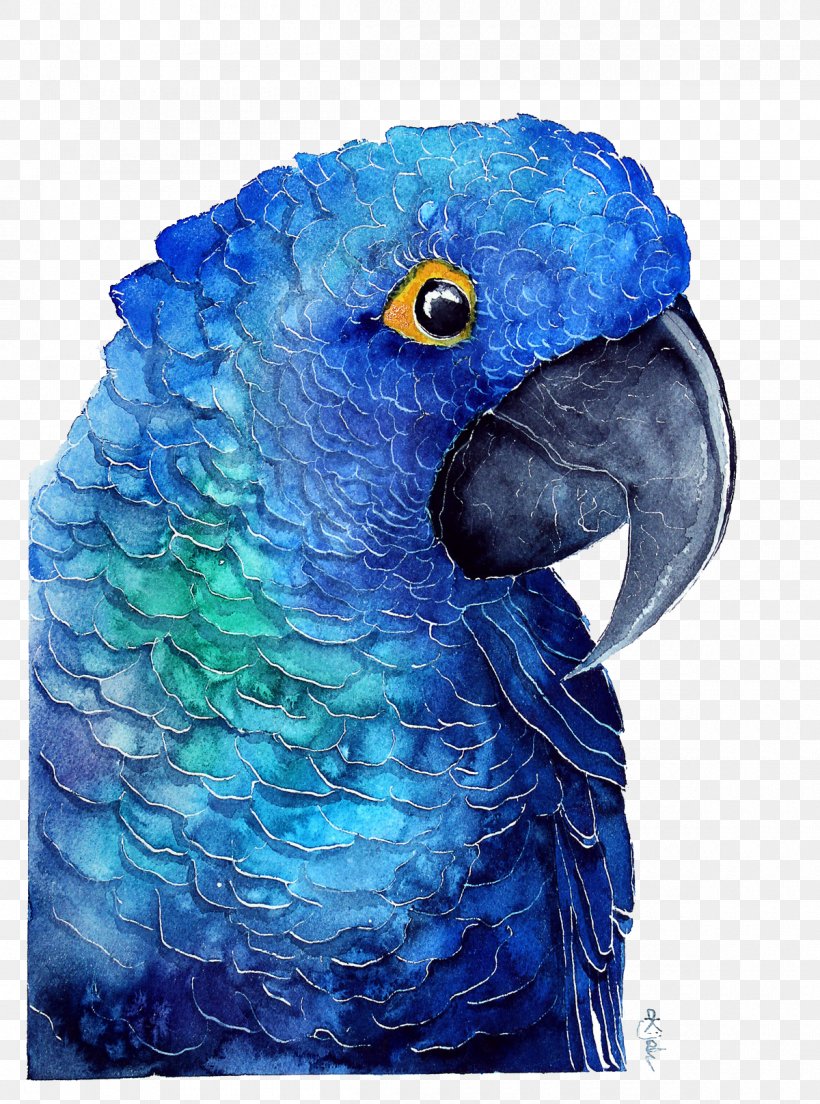 Parrot Poster Watercolor Painting, PNG, 1200x1616px, Parrot, Animal, Art, Beak, Bird Download Free