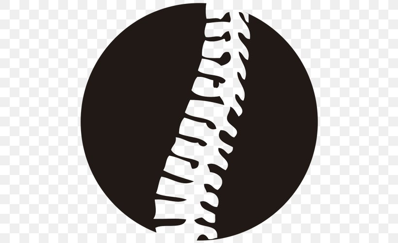 Vertebral Column Pain In Spine Low Back Pain Necktie Chiropractor, PNG, 500x500px, Vertebral Column, Anatomy, Black And White, Chiropractic, Chiropractor Download Free