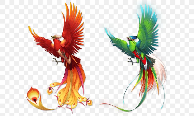 Bird Phoenix Fenghuang, PNG, 600x493px, Bird, Beak, Feather, Fenghuang, Ink Download Free