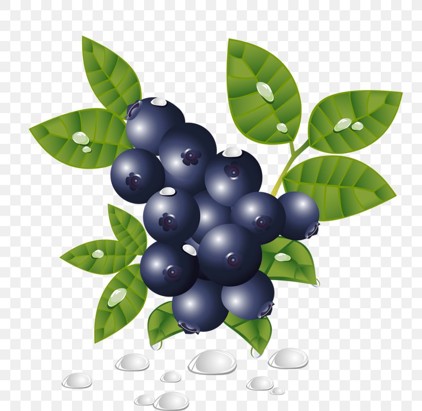 Blueberry, PNG, 772x800px, Blueberry, Art, Berry, Bilberry, Blueberry Tea Download Free