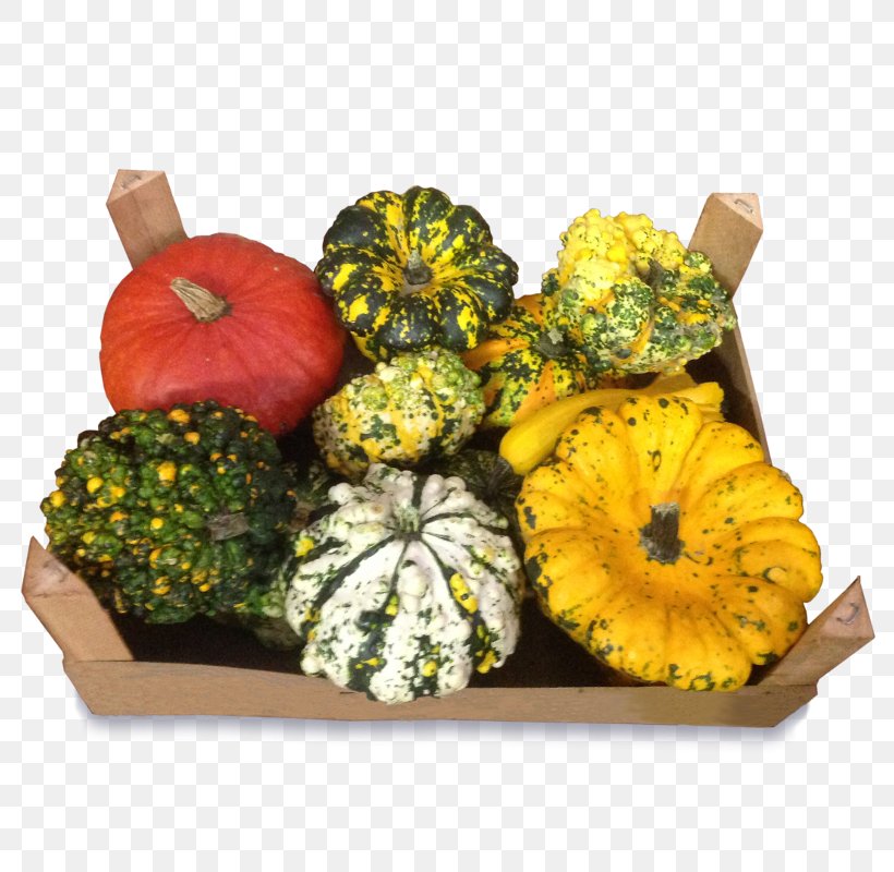 Gourd Calabaza Winter Squash Vegetarian Cuisine Cucurbita, PNG, 800x800px, Gourd, Calabaza, Cucumber Gourd And Melon Family, Cucurbita, Floral Design Download Free