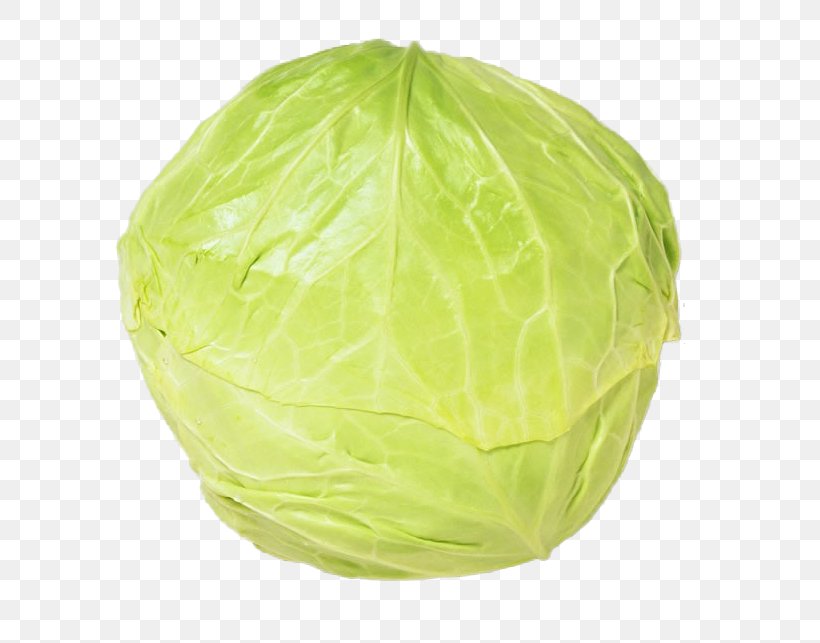 Cabbage Download Vegetable Icon, PNG, 666x643px, Cabbage, Food, Green, Leaf, Template Download Free