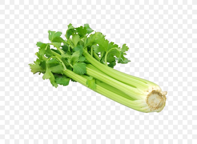 Celery Vegetable Chinese Cabbage Brussels Sprout, PNG, 600x600px, Celery, Asparagus, Brussels Sprout, Cabbage, Carrot Download Free