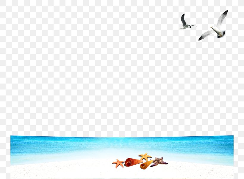 Seagull Beach Wallpaper, PNG, 750x600px, Seagull Beach, Beach, Bird, Blue Seagull, Common Gull Download Free