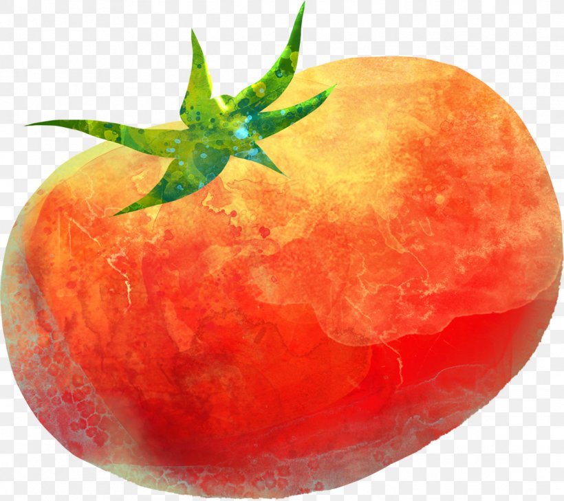 Tomato Painting Computer File, PNG, 1138x1013px, Tomato, Apple, Drawing, Food, Fruit Download Free