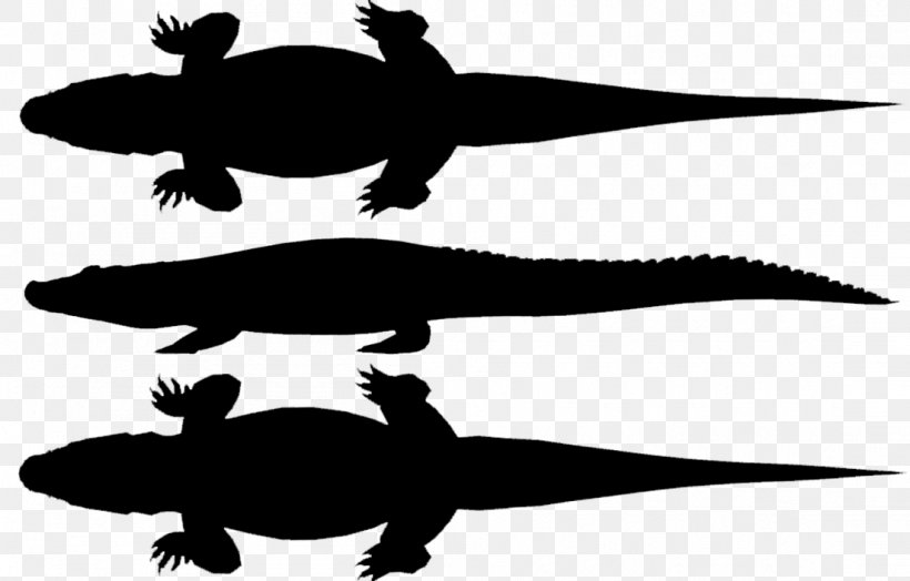 Turtle Amphibians Fauna Clip Art Silhouette, PNG, 1104x706px, Turtle, Alligator, Amphibian, Amphibians, Animal Download Free