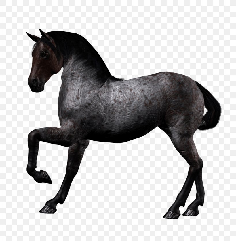 Arabian Horse Twilight Sparkle Pony DeviantArt, PNG, 1024x1045px, Horse, Bit, Black, Black And White, Bridle Download Free