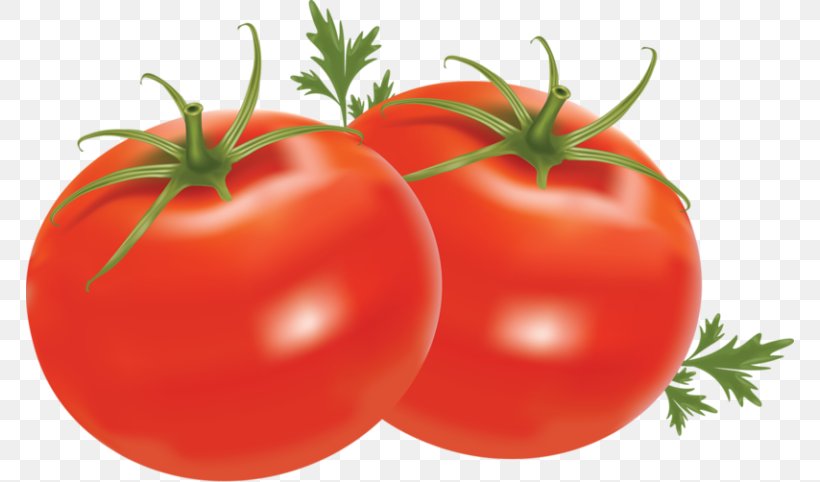 Cherry Tomato Clip Art, PNG, 768x482px, Cherry Tomato, Beefsteak Tomato, Bush Tomato, Diet Food, Food Download Free
