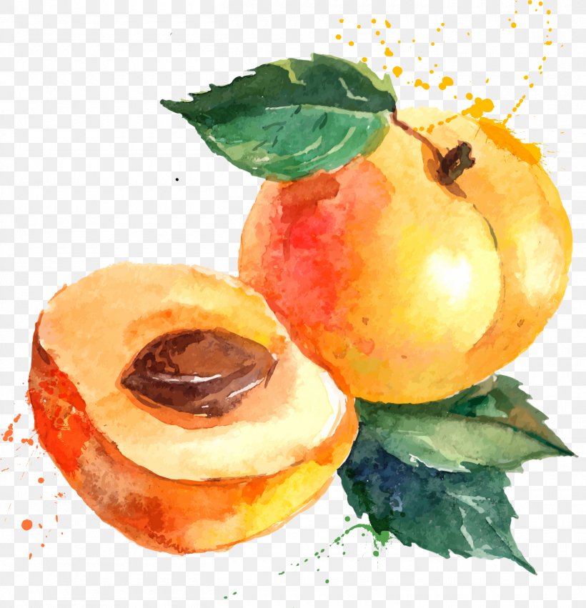 Eat Seasonably Eating Food Apricot, PNG, 1360x1412px, Wine, Apple, Apricot, Cider, Diet Food Download Free