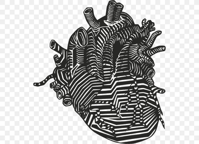 Heart Drawing Anatomy Clip Art, PNG, 546x595px, Heart, Anatomy, Artery, Black, Black And White Download Free