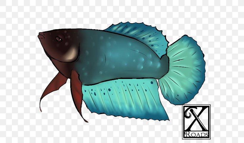 Marine Biology Fauna Turquoise Fish, PNG, 640x480px, Marine Biology, Biology, Fauna, Fin, Fish Download Free