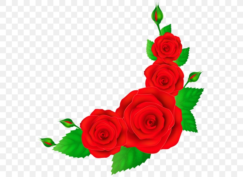 Rose Flower Red Pink Clip Art, PNG, 584x600px, Rose, Color, Cut Flowers, Dahlia, Floral Design Download Free