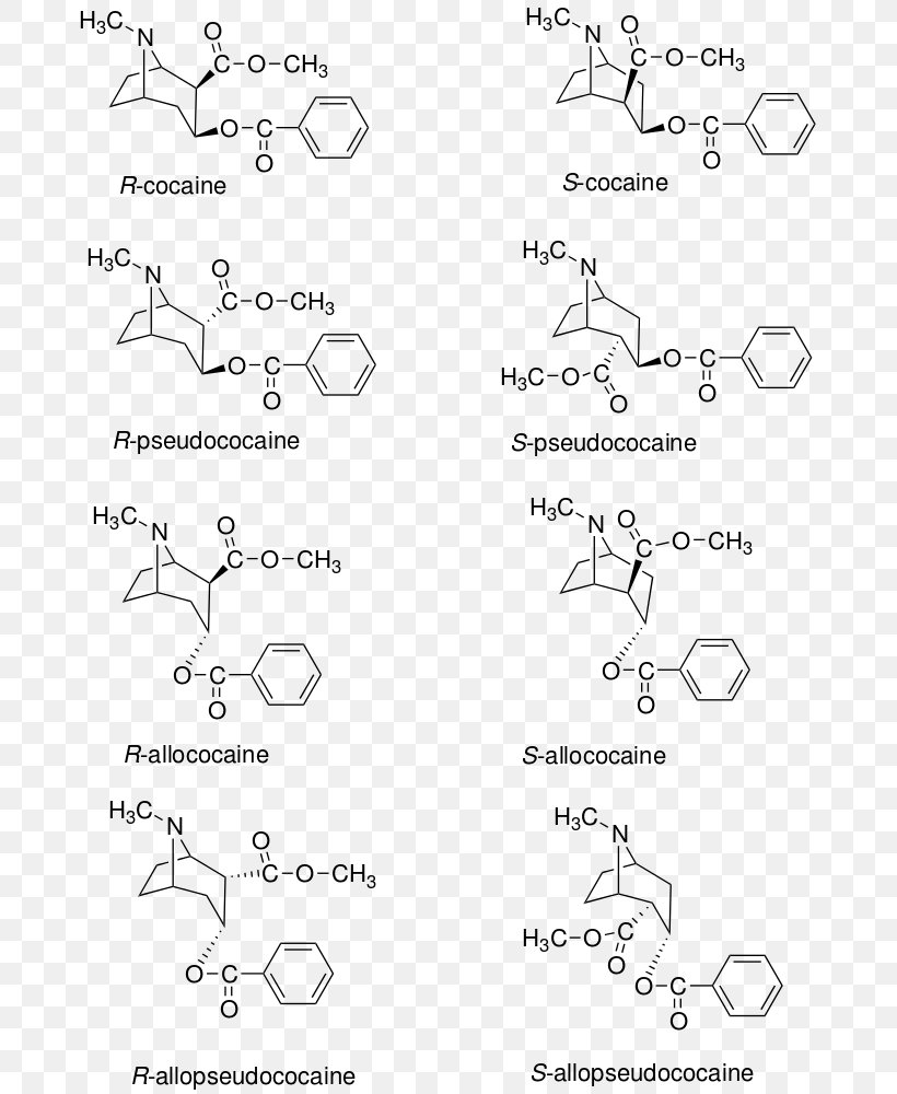 Tropane Cocaine Benzocaine Wikipedia Ester, PNG, 687x1000px, Tropane, Area, Auto Part, Benzocaine, Black And White Download Free