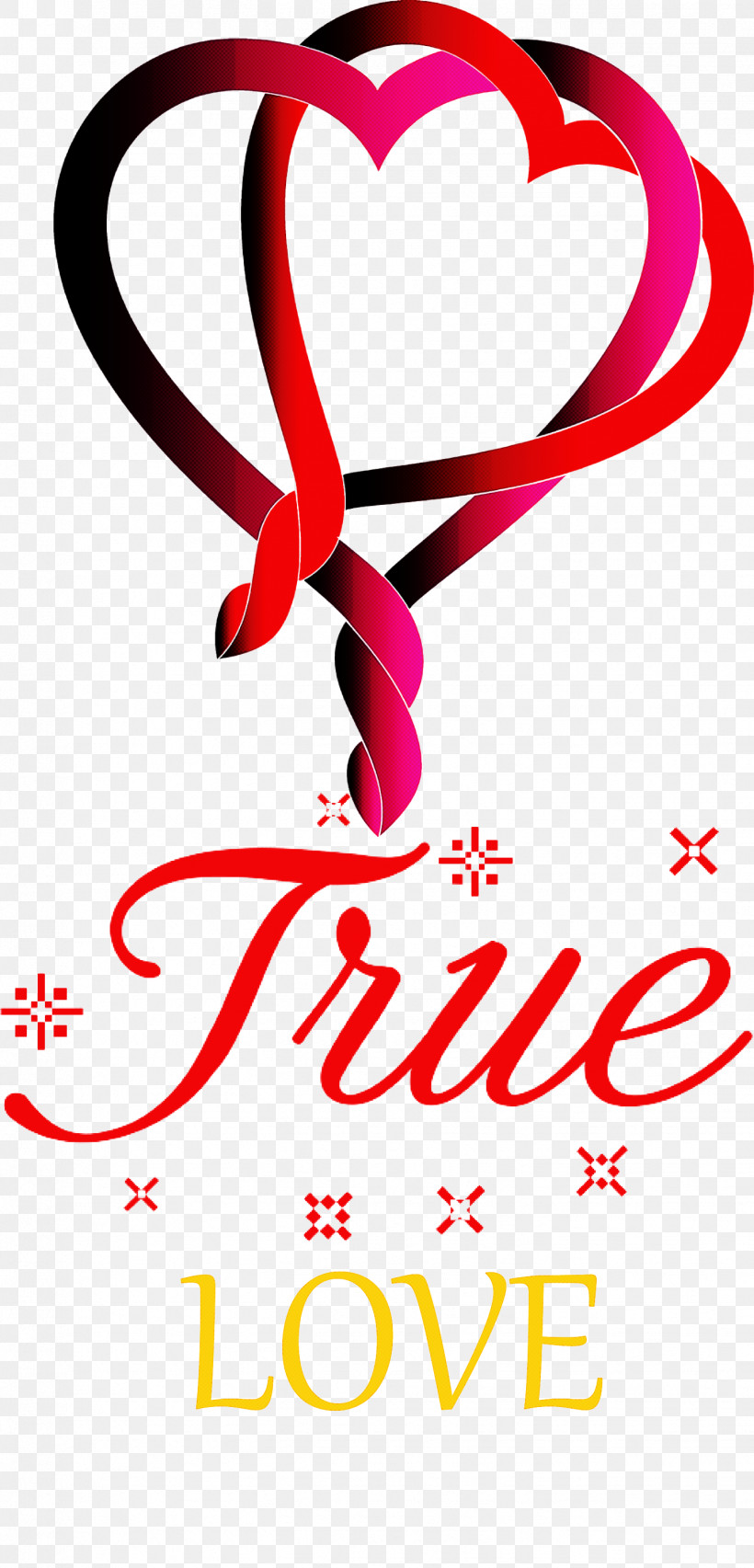 True Love Valentines Day, PNG, 1442x3000px, True Love, Flower, Flower Bouquet, Garden Roses, Logo Download Free