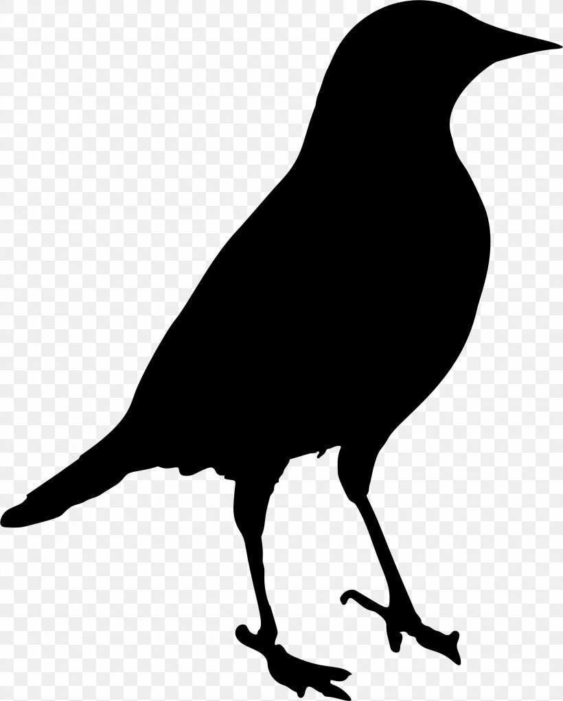 Bird Silhouette Crow Clip Art, PNG, 1806x2253px, Bird, American Crow, Art, Beak, Black And White Download Free