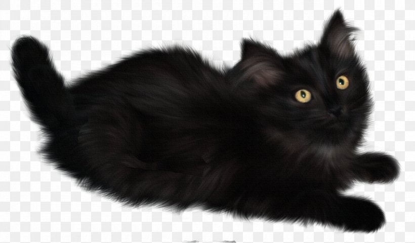 Cat Kitten Clip Art, PNG, 1280x753px, Cat, Asian Semi Longhair, Black, Black And White, Black Cat Download Free