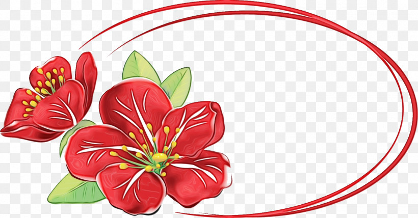 Red Flower Plant Anthurium Petal, PNG, 1511x790px, Flower Oval Frame, Anthurium, Floral Oval Frame, Flower, Paint Download Free
