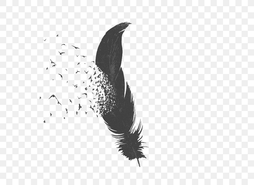 Bird Feather Drawing Parrot Image, PNG, 650x600px, Bird, Animal, Beak, Black And White, Couple Download Free