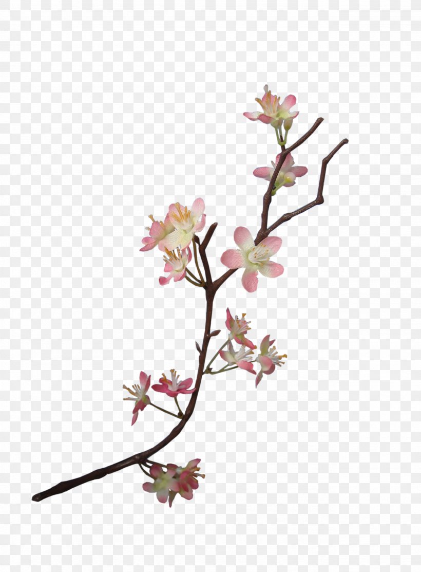 Flower Paper Floral Design Embellishment Scrapbooking, PNG, 2568x3488px, Flower, Blossom, Branch, Cherry Blossom, Cut Flowers Download Free