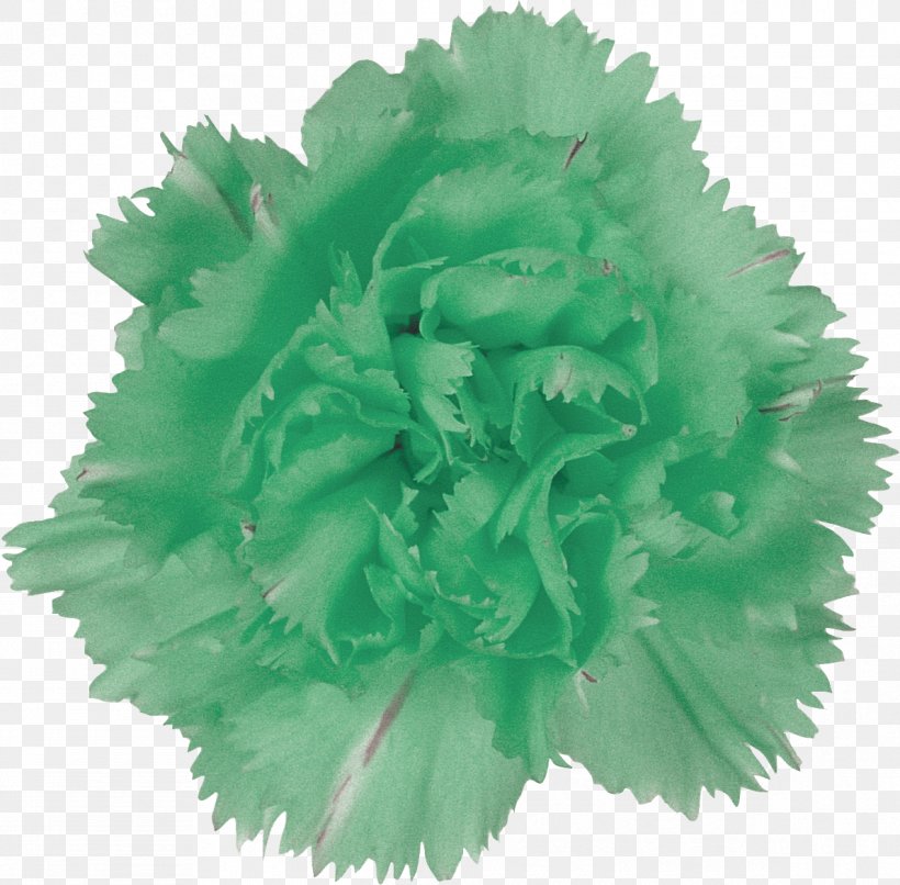 Green Cut Flowers Petal, PNG, 1191x1171px, Green, Chartreuse, Cut Flowers, Data, Floral Design Download Free
