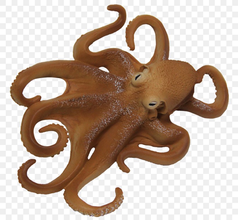 Octopus Squid Invertebrate Photography Image, PNG, 759x759px, Octopus, Animal, Aquatic Animal, Cephalopod, Cmaptools Download Free