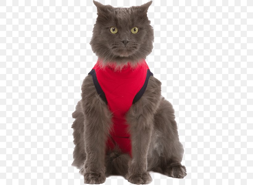 T-shirt Cat Amazon.com Dog Clothing, PNG, 600x600px, Tshirt, Amazoncom, Black Cat, Bodysuit, Carnivoran Download Free