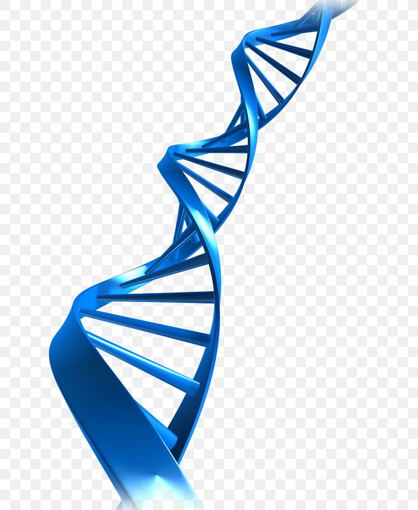 The Double Helix: A Personal Account Of The Discovery Of The Structure Of DNA Laboratory Nucleic Acid Double Helix Health, PNG, 750x1000px, Dna, Arm, Dna Extraction, Dna Profiling, Electric Blue Download Free
