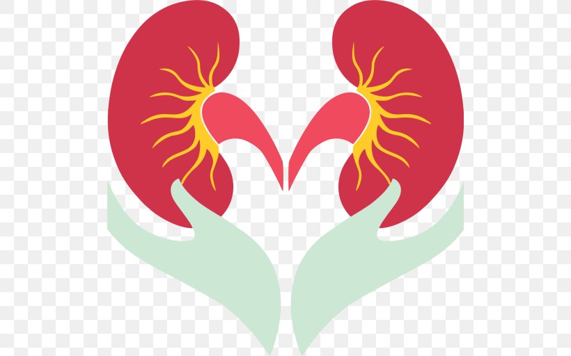 World Kidney Day Kidney Transplantation, PNG, 512x512px, Watercolor, Cartoon, Flower, Frame, Heart Download Free