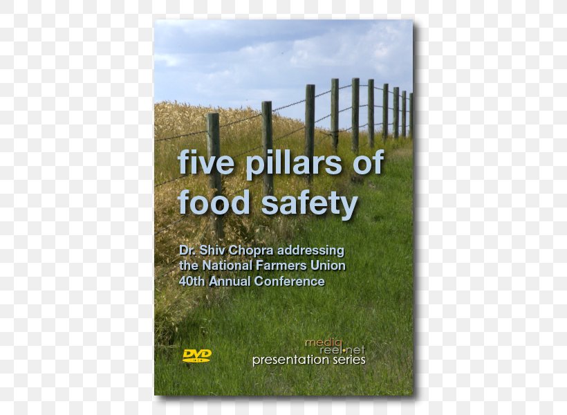 Canada Food Safety Health, PNG, 600x600px, Canada, Canadian Cuisine, Ecosystem, Energy, Fence Download Free