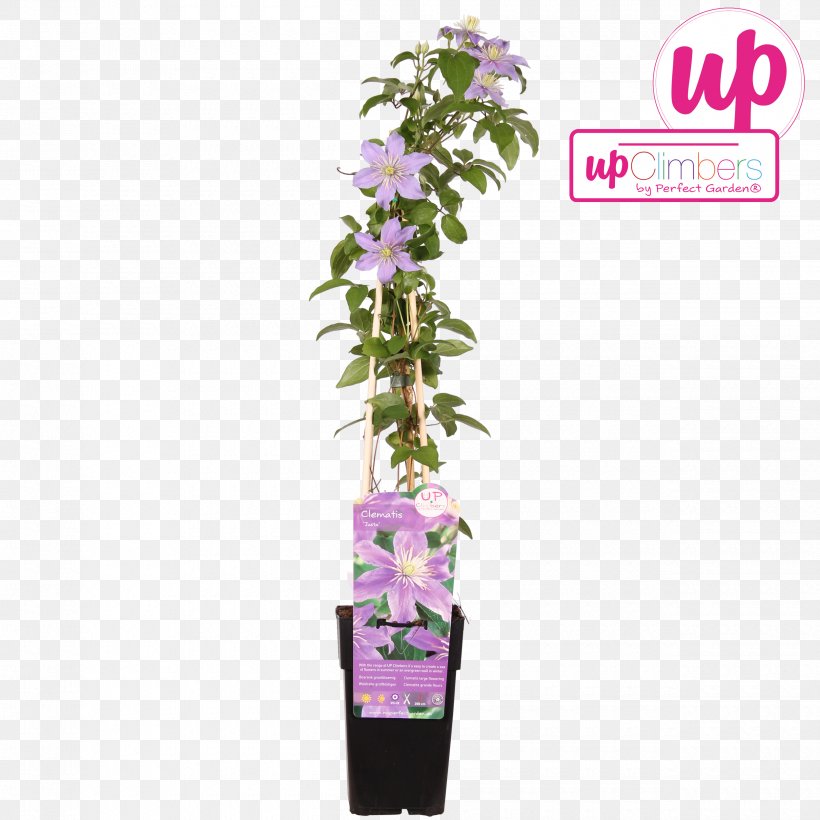 Flowerpot Old Man's Beard, PNG, 2500x2500px, Flowerpot, Flower, Plant, Purple, Violet Download Free